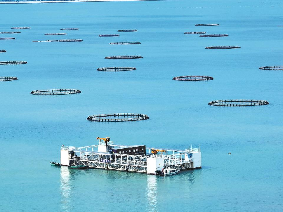 湛江首个深远海养殖平台“海威1号”