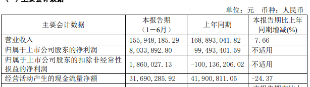 圖為:文一科技2024年半年報(bào)部分財(cái)務(wù)數(shù)據(jù)