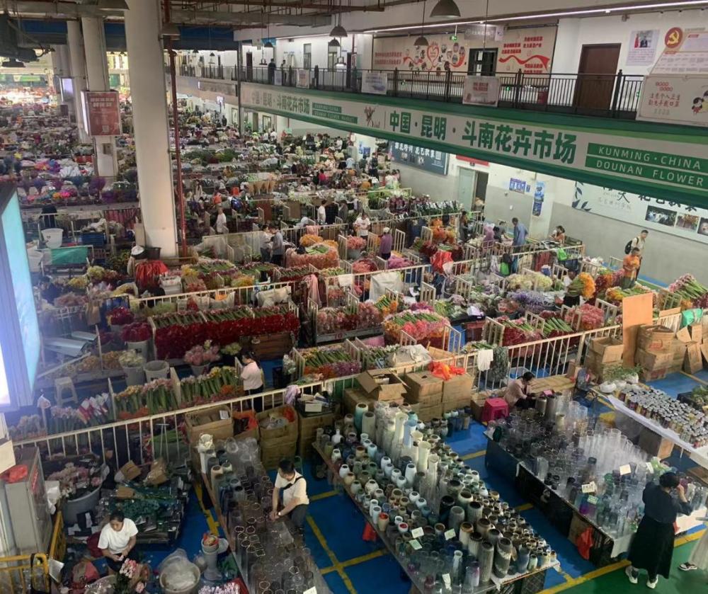 斗南花卉市场