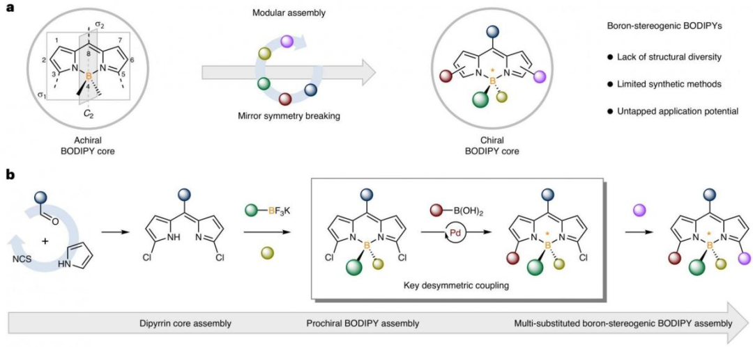 （來源：Nature Chemistry）