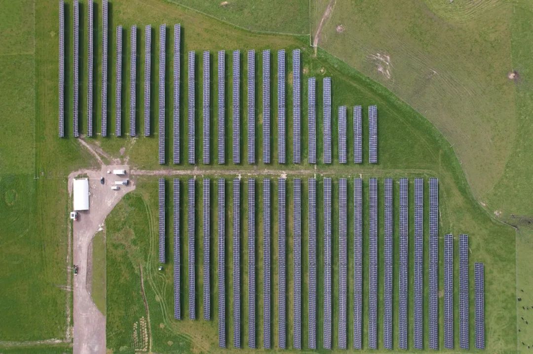 图片来源:Kiwi Solar