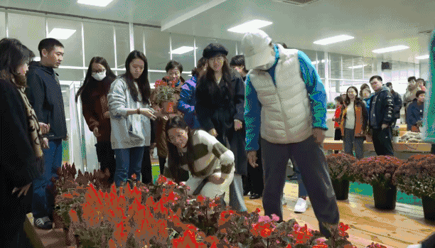 △市民用于装花的袋子上写着“人人是园丁”。