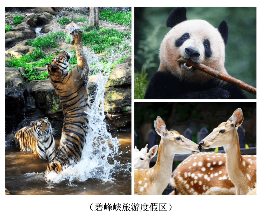 来源:祥源文旅2024半年报