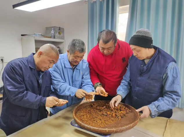 原中药材鉴别首席技师工作室领办人赵小刚为徒弟讲解贵细药材鉴别
