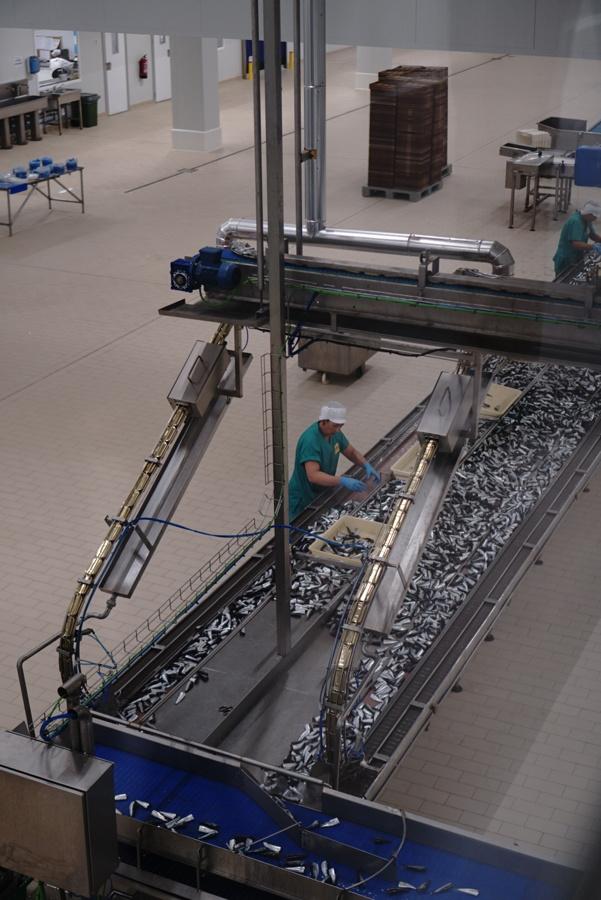 工人在流水线上工作。驻扎在当地的中方管理层,则身体力行地将这份沉甸