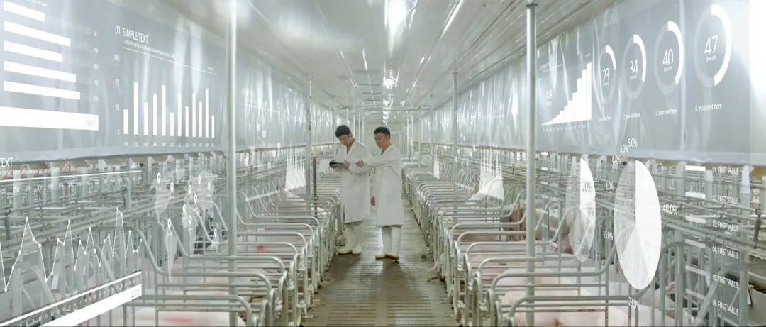 来源:受访者