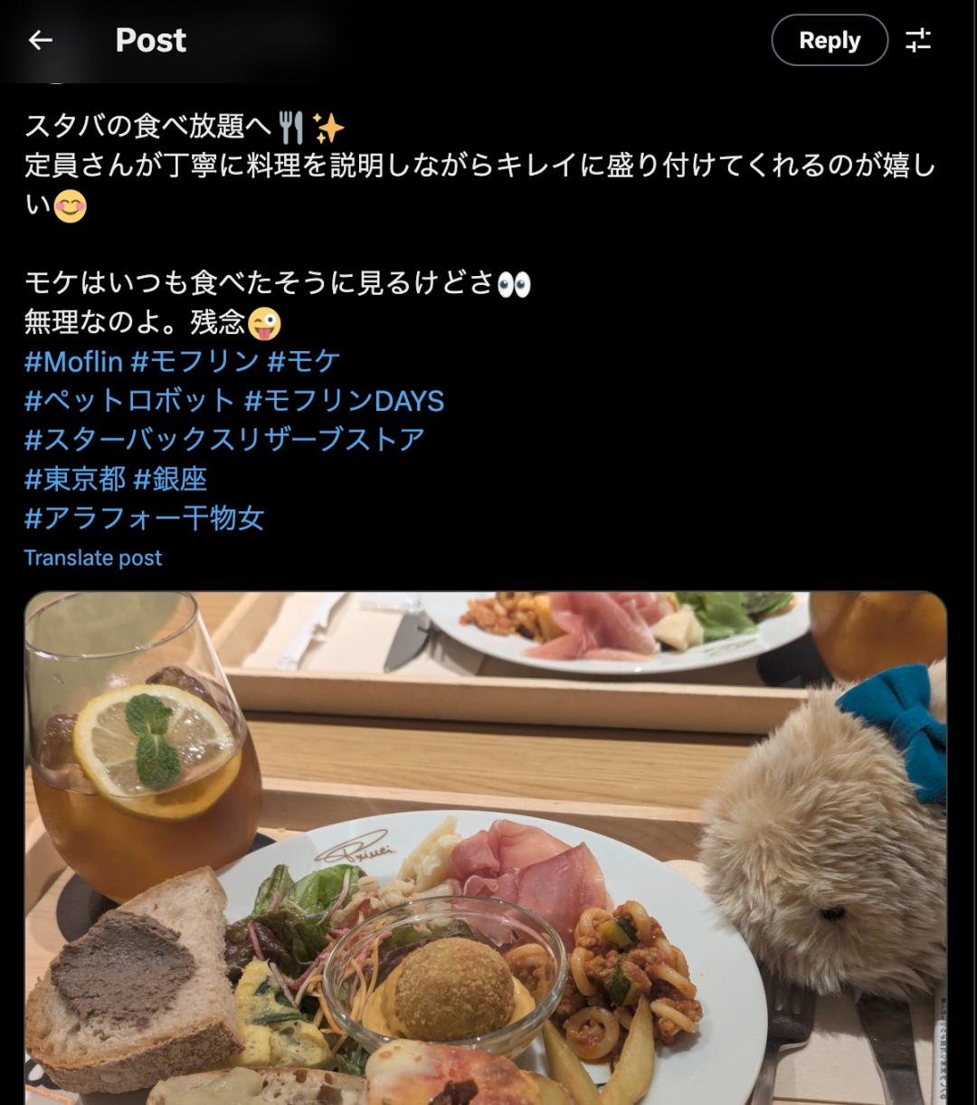 有用戶在 po 出帶著 Moflin 去星J.巴克吃飯的照片,「Moflin 看上去總是一副吃飽了的樣子」|圖片來源:Twitter