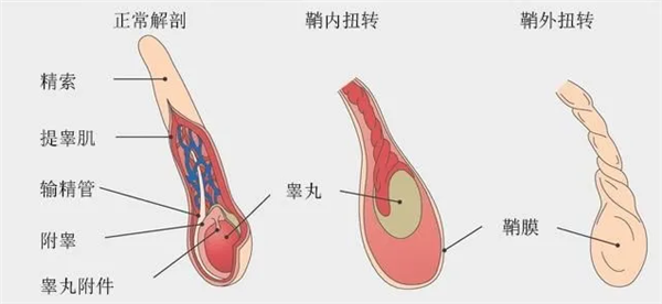 【本文结束】如需转载请务必注明出处:快科技责任编辑:鹿角文章内容举报