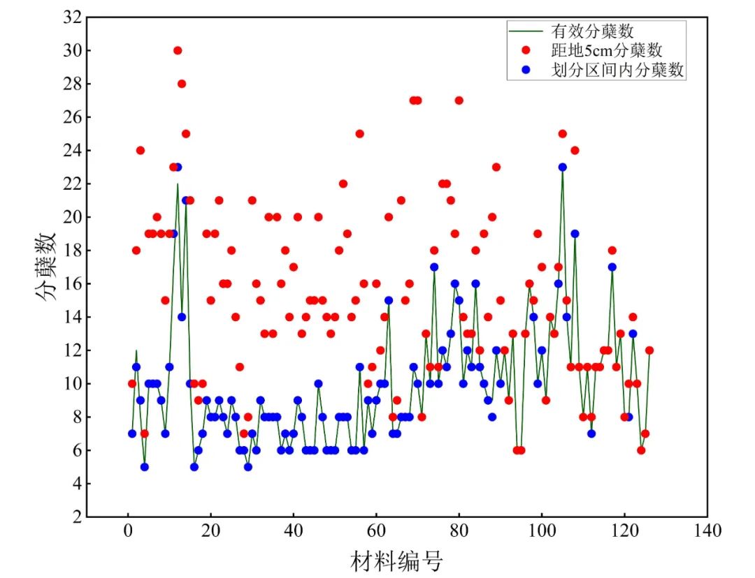 图8 不同水稻高度分蘖数与有效分蘖数对比