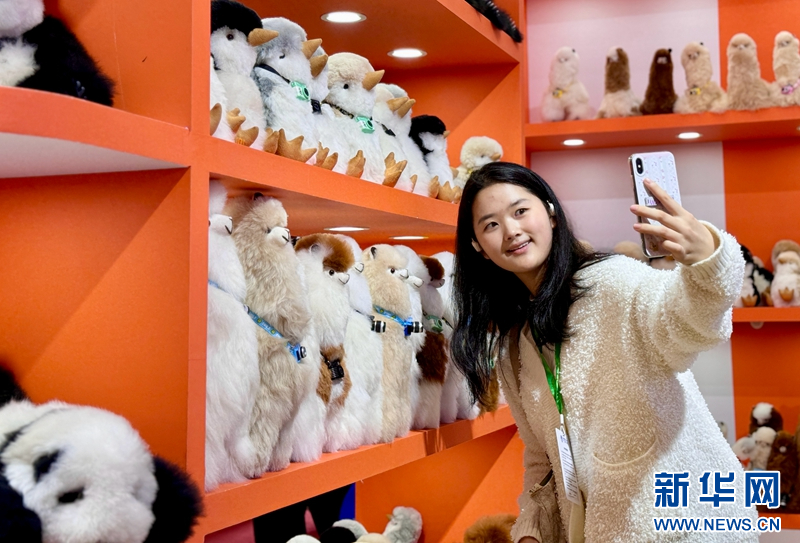 进博会上,一位顾客在和羊驼玩偶合影。(新华网记者彭纯摄)