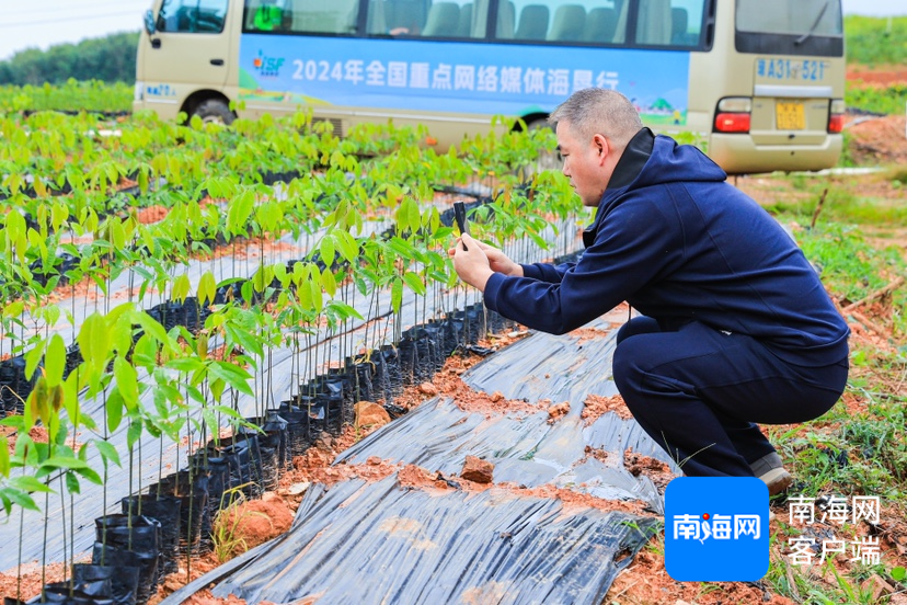 网媒行代表参观海南橡胶邦溪种苗基地。主办方供图
