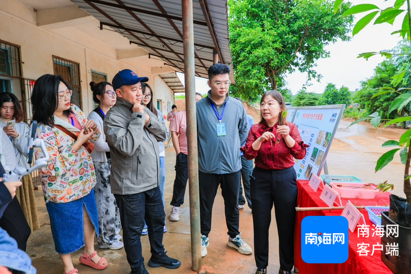 网媒行代表走进海南橡胶邦溪种苗基地。主办方供图