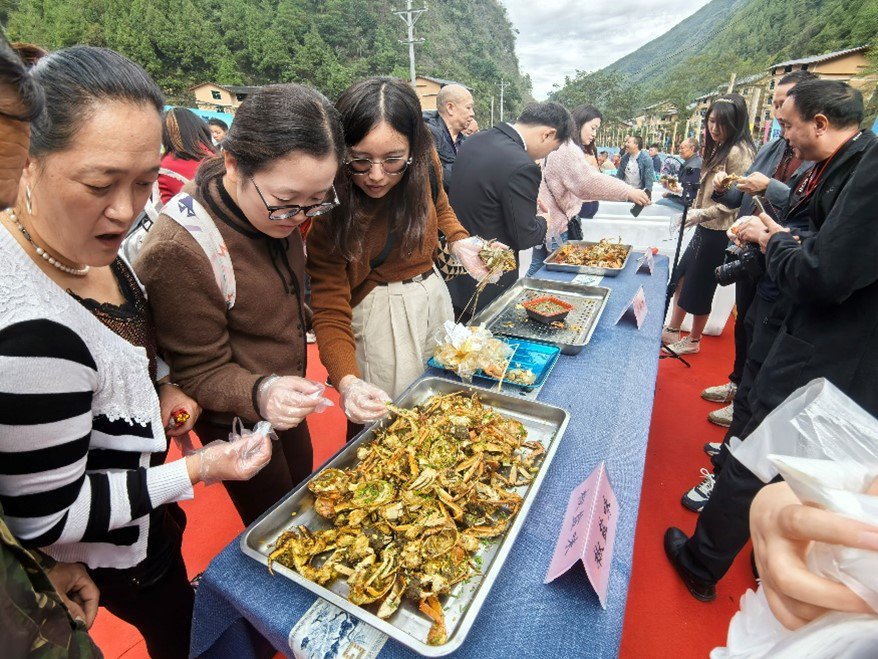 10月23日，桃花源高山大閘蟹品蟹節。耿琳攝