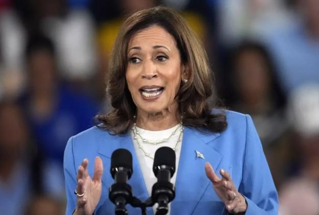 △美国副总统、2024年美国总统选举民主党总统候选人卡马拉·哈里斯在8月16日于北卡罗来纳州出席竞选活动。
