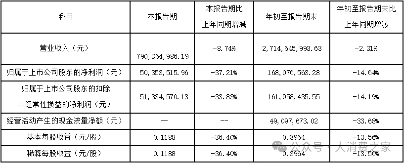 数据来源:公司报表