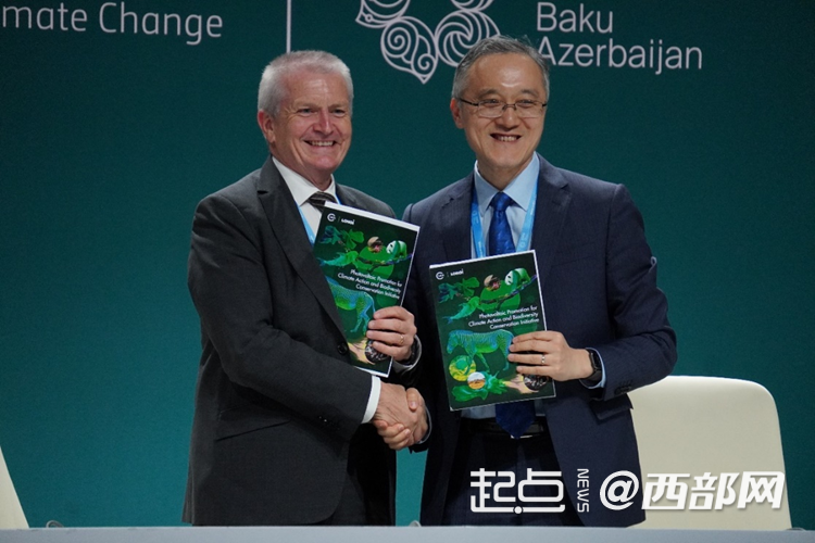 隆基首席可持续发展官张海濛介绍公司在生物多样性保护方面的工作