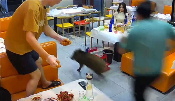 ã€æœ¬æ–‡ç»“æŸã€‘å¦‚éœ€è½¬è½½è¯·åŠ¡å¿…æ³¨æ˜Žå‡ºå¤„ï¼šå¿«ç§‘æŠ€è´£ä»»ç¼–è¾‘ï¼šè½æœ¨æ–‡ç« 内容举报