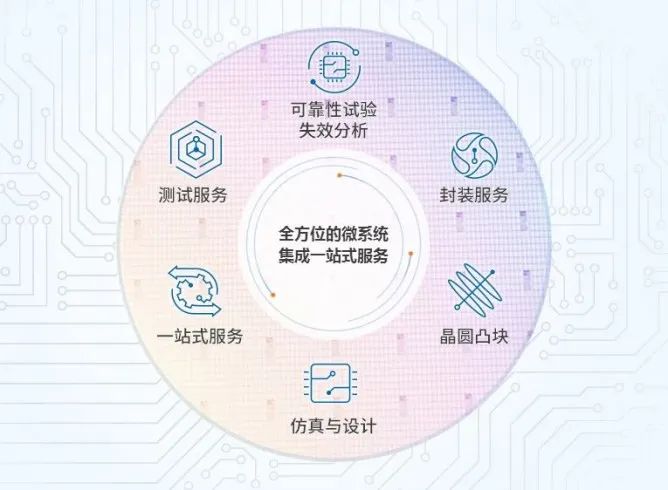 (图片来源:长电科技官网)