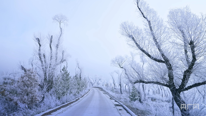 雪後霧凇（央廣網發 準格爾旗融媒體中心供圖）