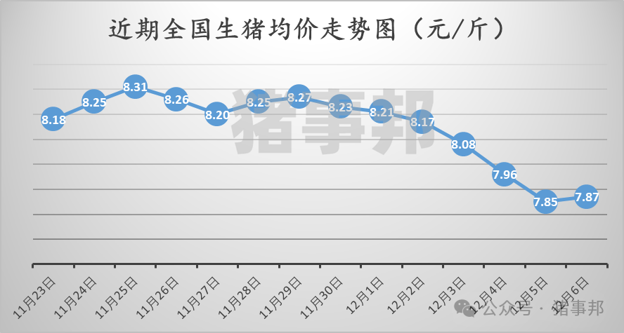 12月6日猪价汇总（北方反弹，南方稍弱！）-第3张图片-体育新闻