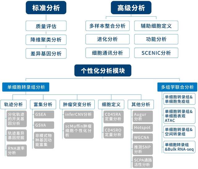 单细胞生信分析模块