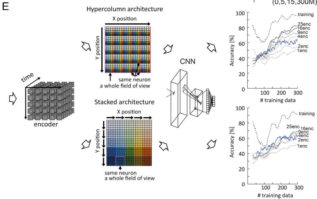 圖丨基於大腦的 AI 網絡可準確分類電影數據及其測試結果(來源:PNAS)