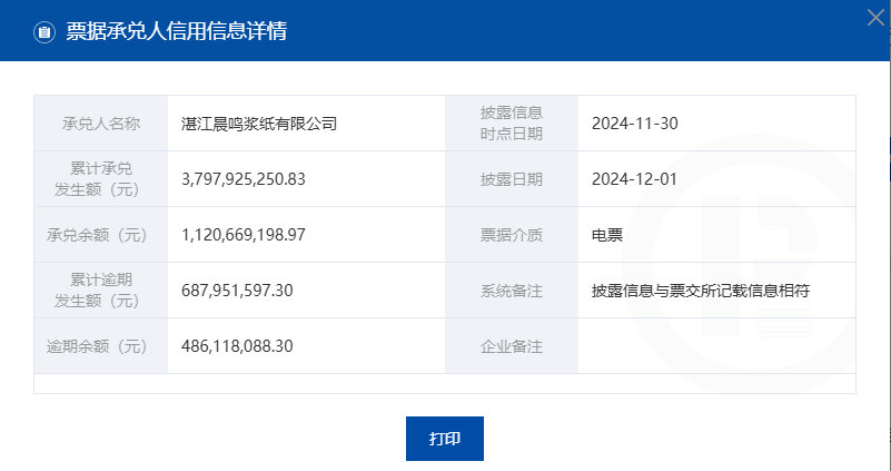 晨鸣纸业其中一家子公司截至11月末的票据逾期情况,来源:上海票据交易所官网