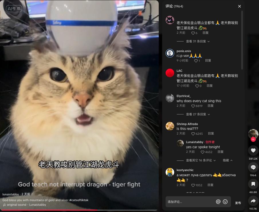 看得評論區的老外一臉懵逼:「為什麼每隻貓都在唱這個」 「貓會唱歌了這是真的嗎」