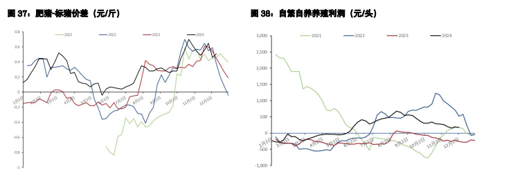 關聯品種棉花生豬所屬公司：五礦期貨