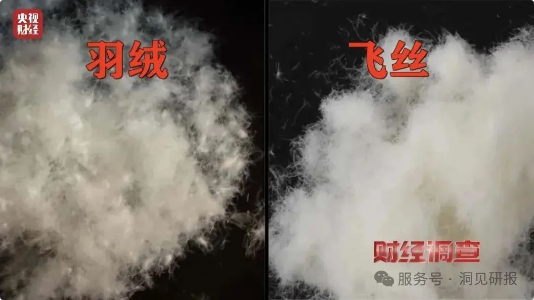 （资料来源：《央视财经》）