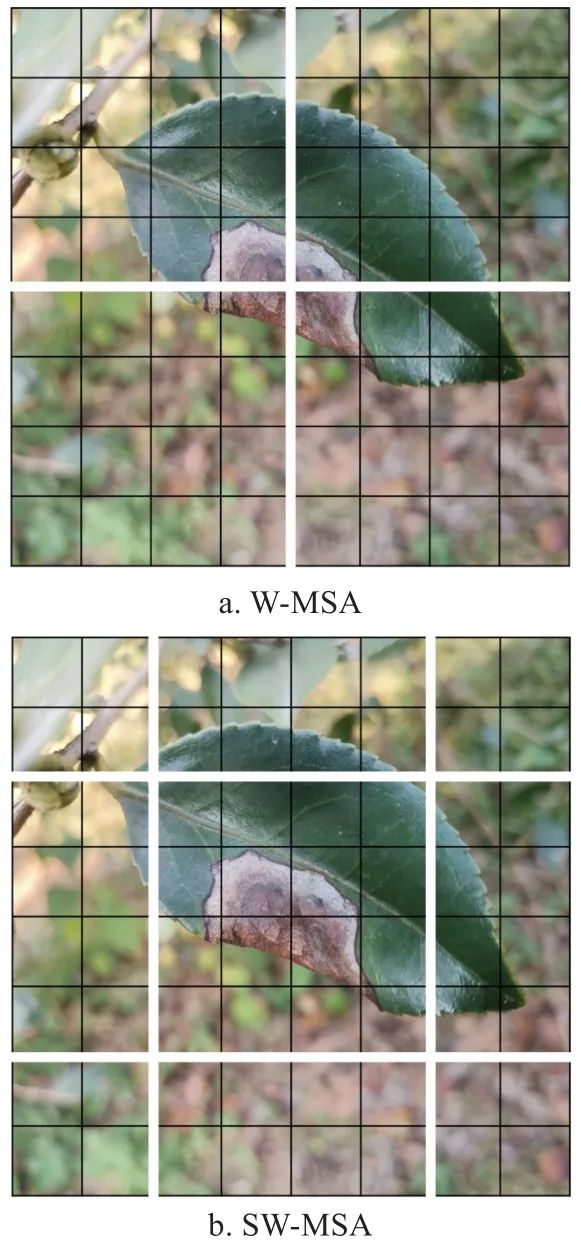 图5 W-MSA和SW-MSA划分图像块示意图