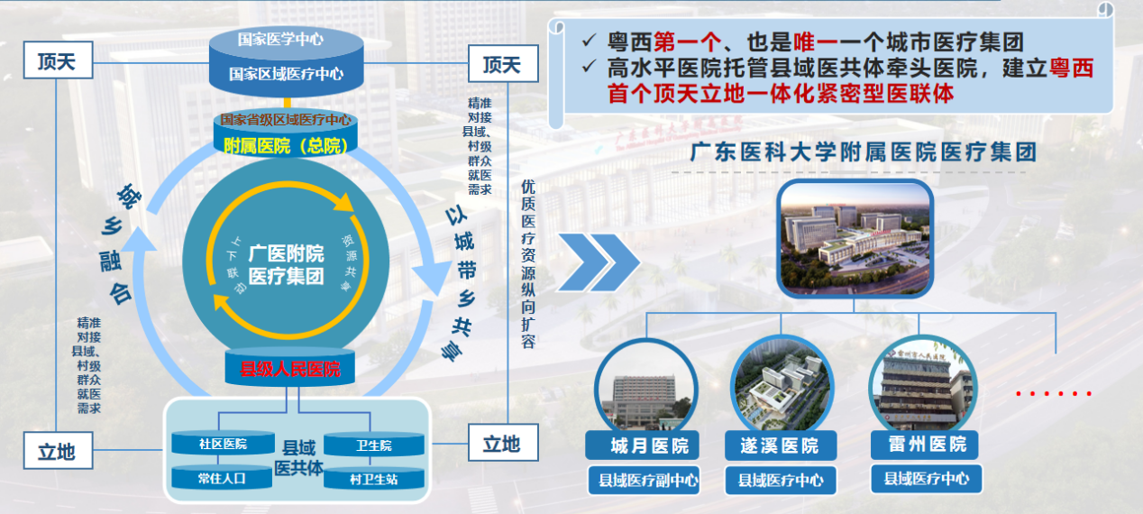 医疗集团概览
