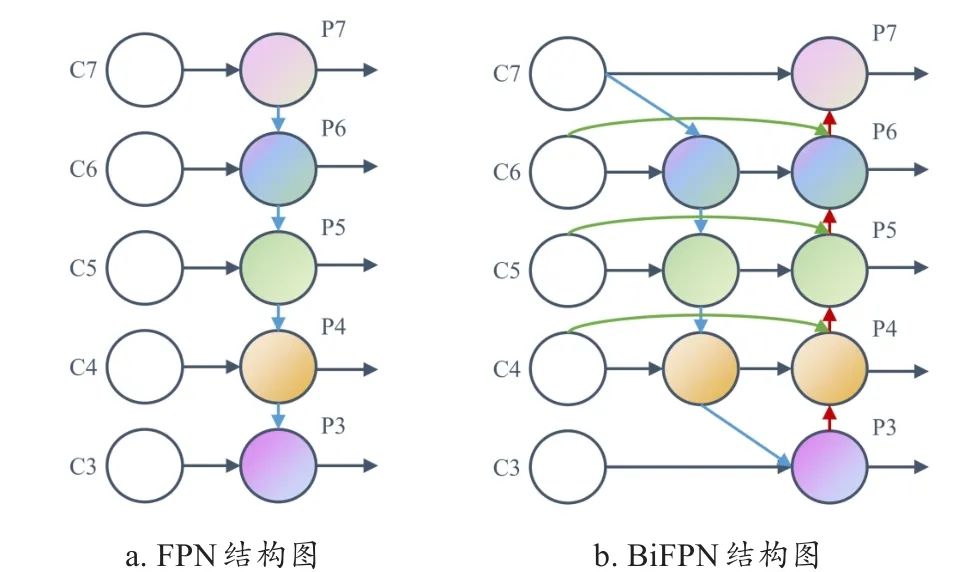 图6 FPN与BiFPN结构图