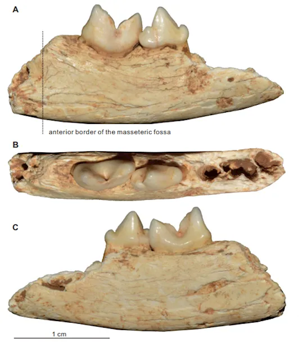 【本文结束】如需转载请务必注明出处:快科技责任编辑:随心文章内容举报