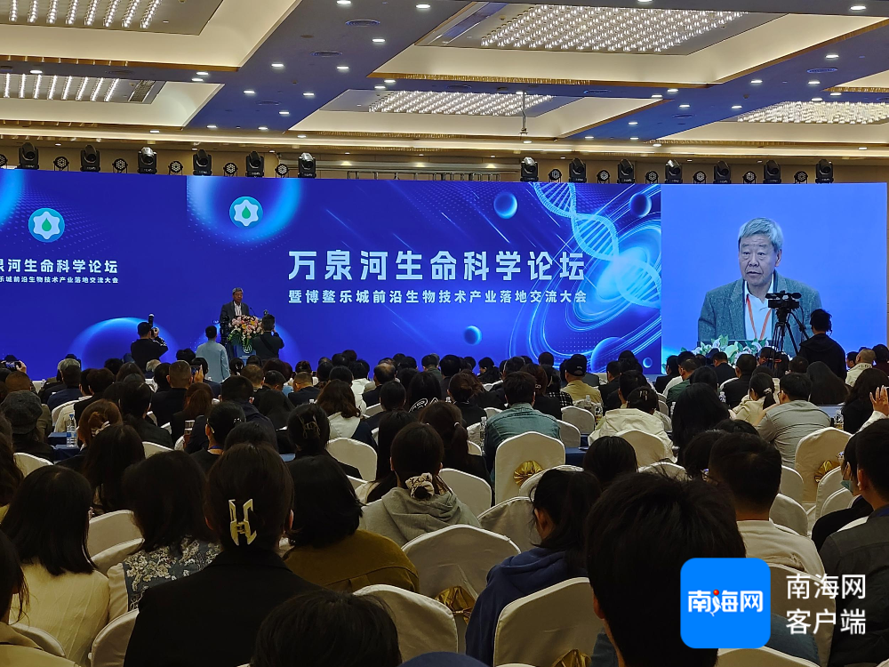 专家分享。记者苏桂除摄