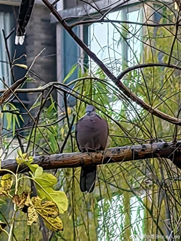 【来源:快科技】