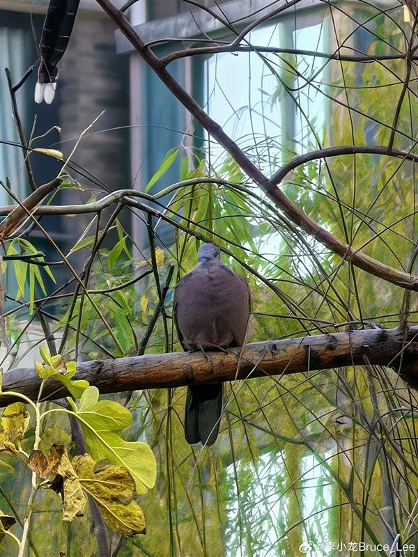 【来源:快科技】