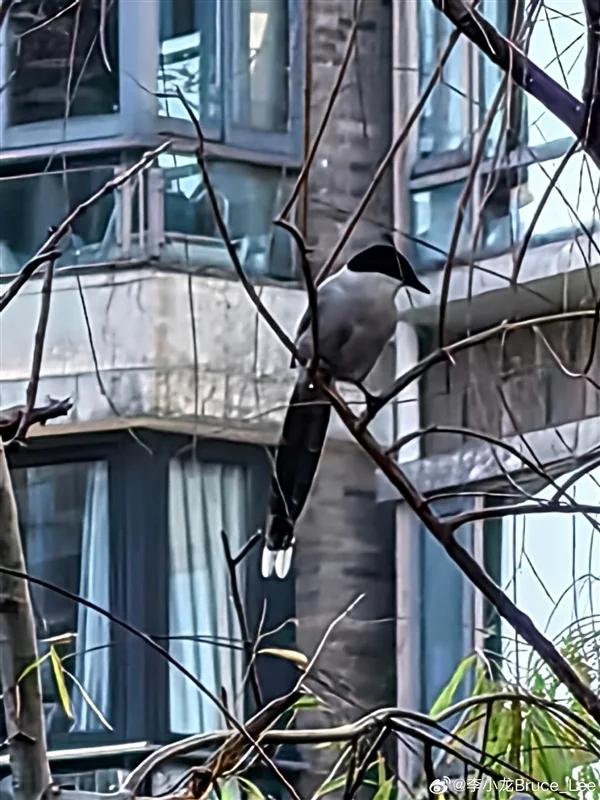 【来源:快科技】