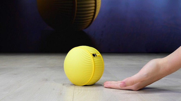 ▲ CES 2020 首次亮相的旧 Ballie