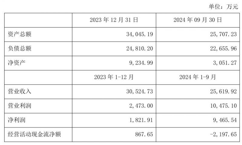 中洲物业近两年财务数据。 截图自中洲控股公告