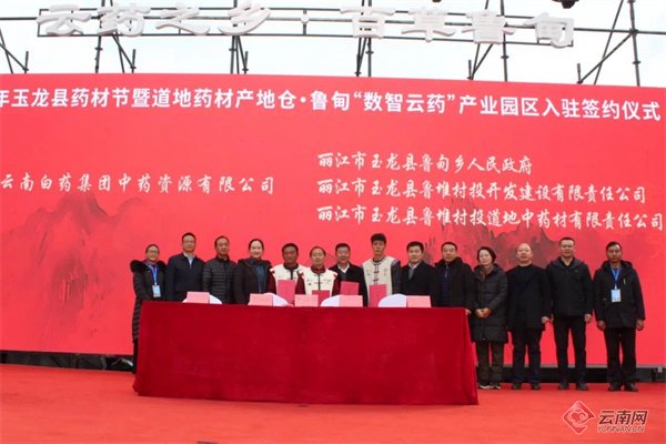 云南白药集团供图