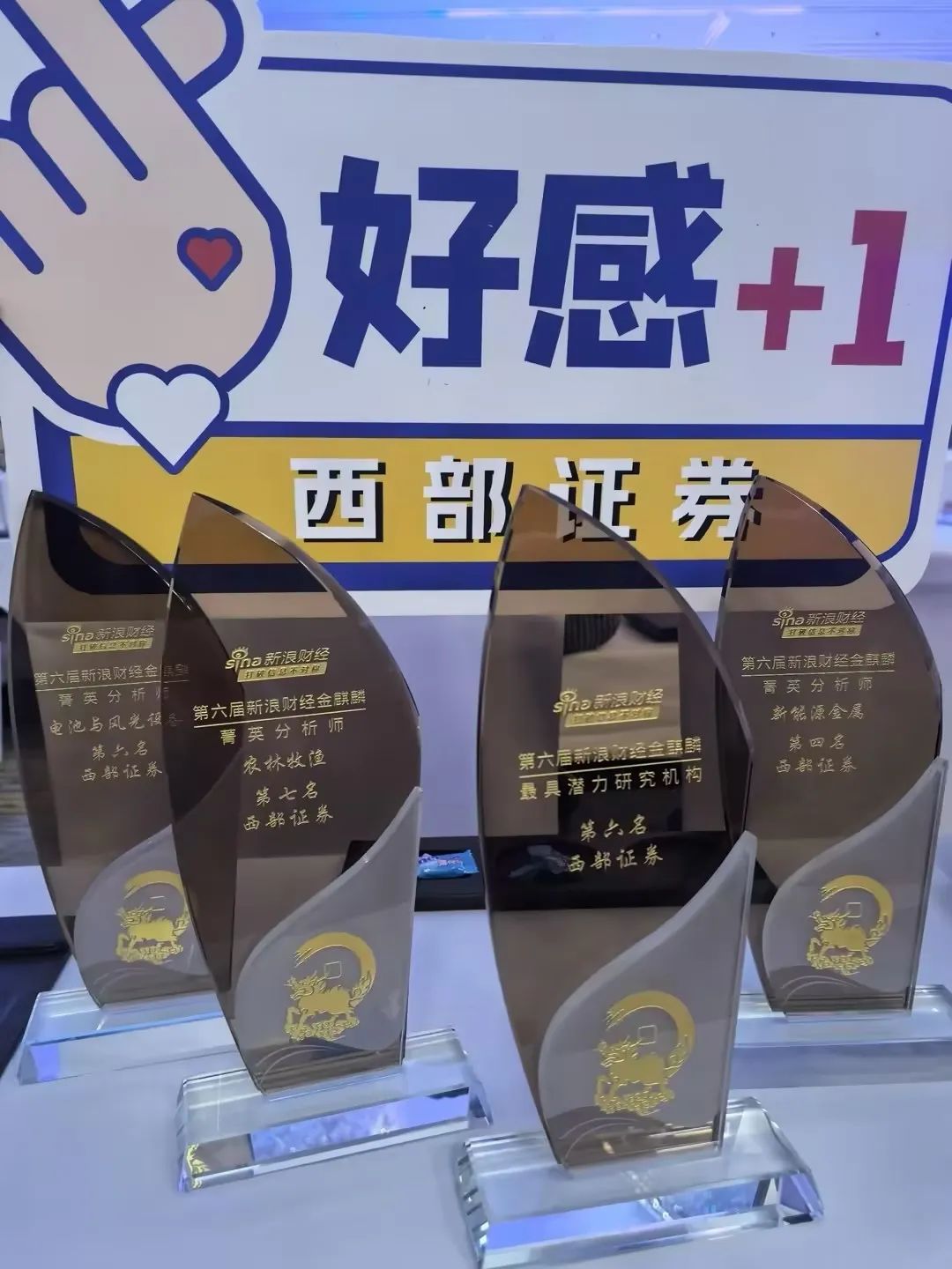 团队照片与获奖照片