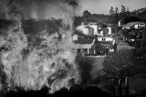 图片来源:Ethan Swope