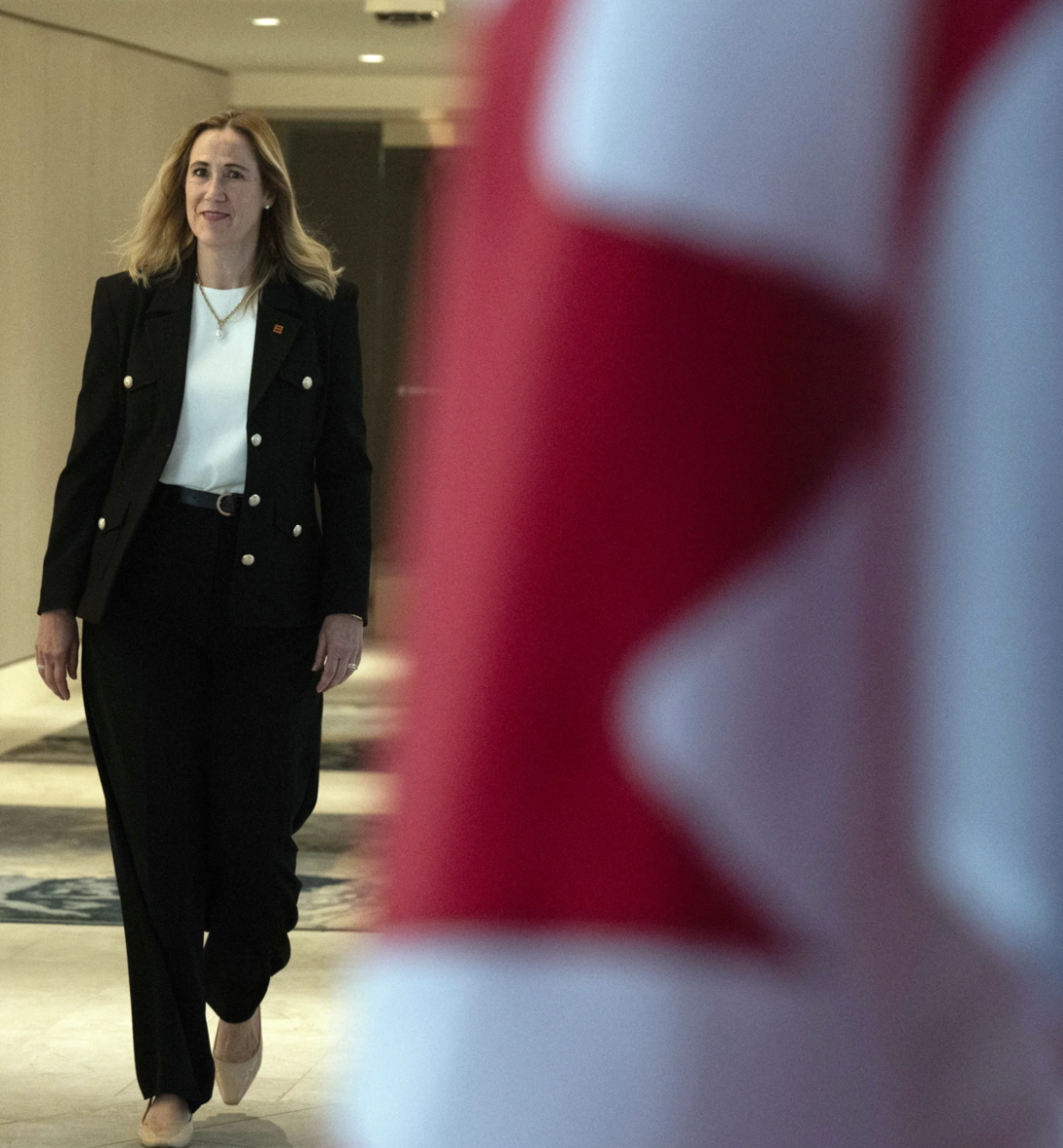 “安抚特朗普”?美媒:加拿大准备从美国购买更多商品,包括下一批潜艇舰队