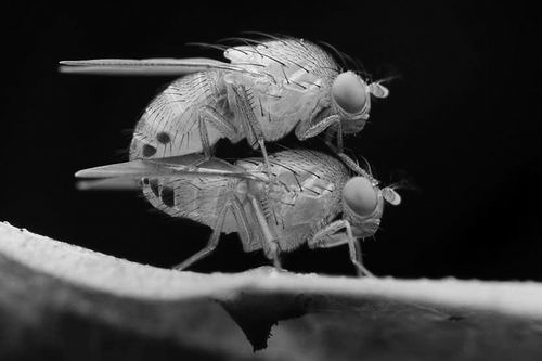 图片来源:Abdul Latif/Alamy