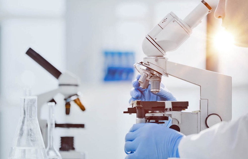 虎扑社区:2023澳门资料大全正版资料-常德:着力打造合成生物产业战略新高地 第4张 虎扑社区:2023澳门资料大全正版资料-常德:着力打造合成生物产业战略新高地 第4张