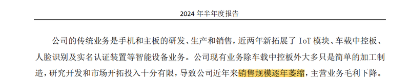 图源:公司2024年半年报