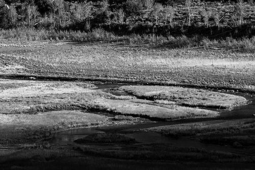 图片来源:Getty Images