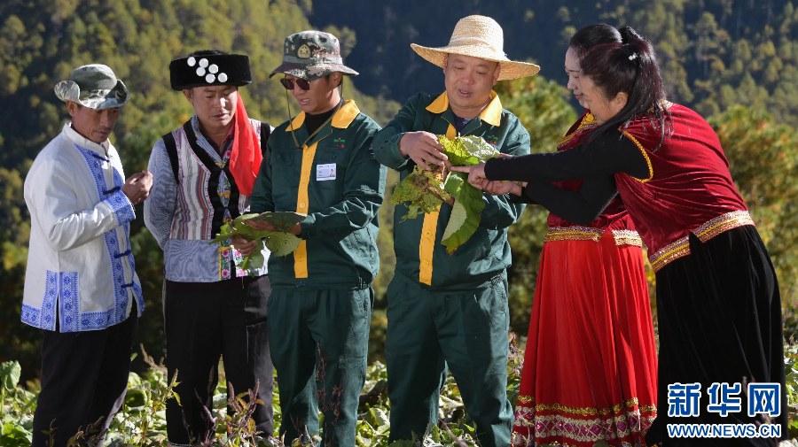 一心堂工作人員在田間地頭進行中藥材種植技術指導（資料圖）。新華網發（供圖）