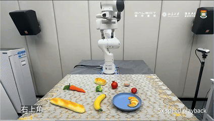 （AnyGrasp、GraspVLA、OpenVLA demo影片對比）